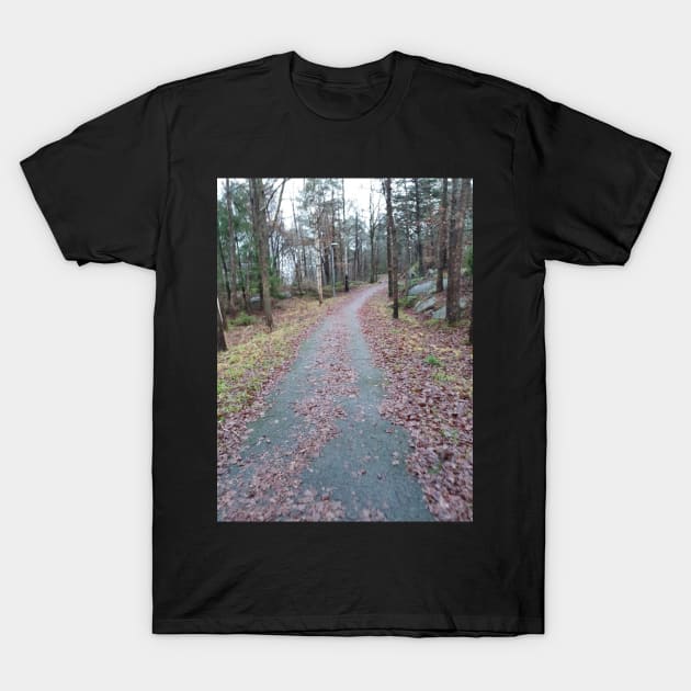 Crooked Road T-Shirt by Alemway